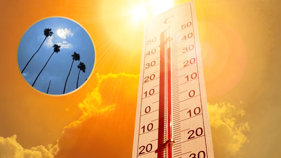 Clima en Los Mochis este sábado, 14 de junio: calor y mucho viento Clima en Los Mochis este sábado, 14 de junio: calor y mucho viento