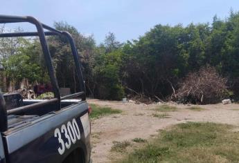 Encuentran otro cuerpo sin vida en Mazatlán; ahora en la Francisco I. Madero, cerca de la marisma