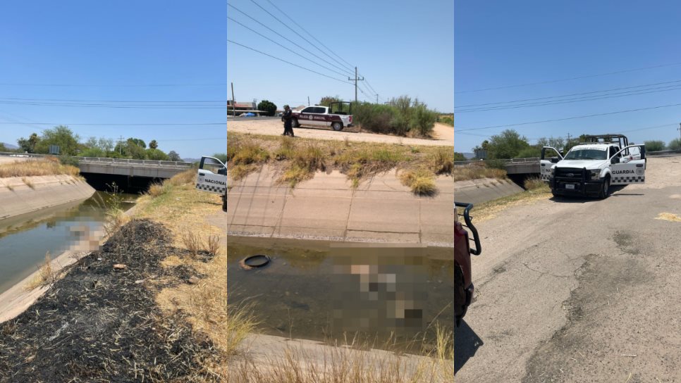 Localizan a hombre en descomposición flotando en un canal de El Desengaño, Ahome Localizan a hombre en descomposición flotando en un canal de El Desengaño, Ahome