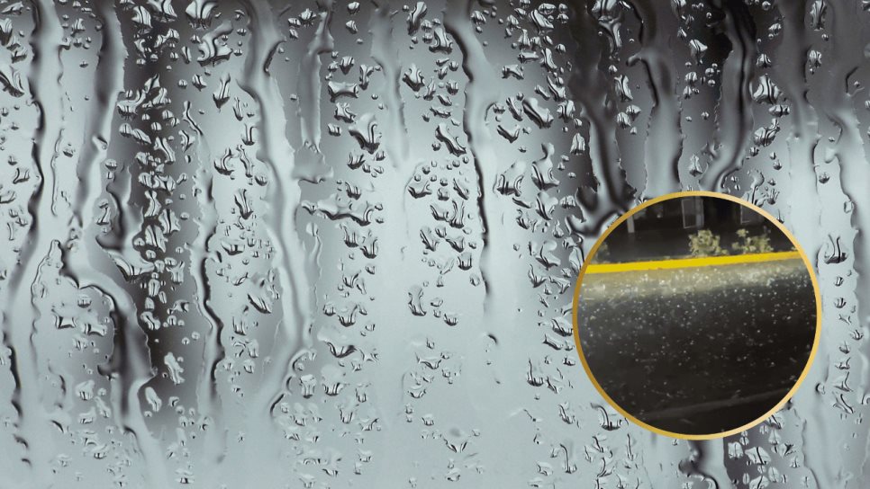 ¡Por fin! Fuerte lluvia con granizada se registra en Choix, Sinaloa ¡Por fin! Fuerte lluvia con granizada se registra en Choix, Sinaloa