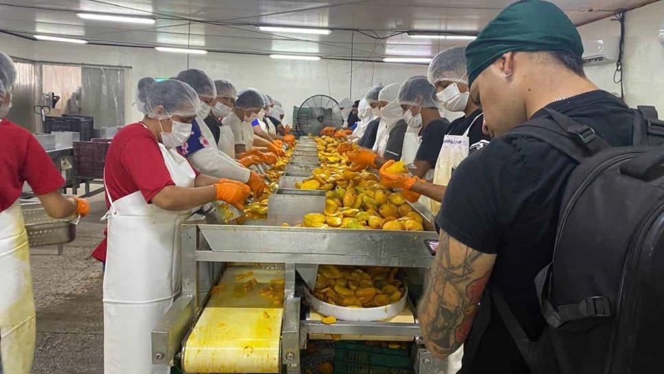 Agua Caliente de Garate te espera en su tradicional Feria de la Ciruela 2025 Agua Caliente de Garate te espera en su tradicional Feria de la Ciruela 2025