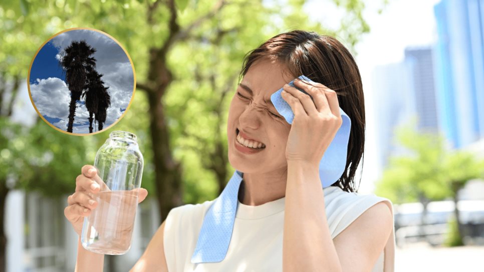 Clima en Los Mochis este martes, 17 de junio: Calor intenso y cielos despejados Clima en Los Mochis este martes, 17 de junio: Calor intenso y cielos despejados