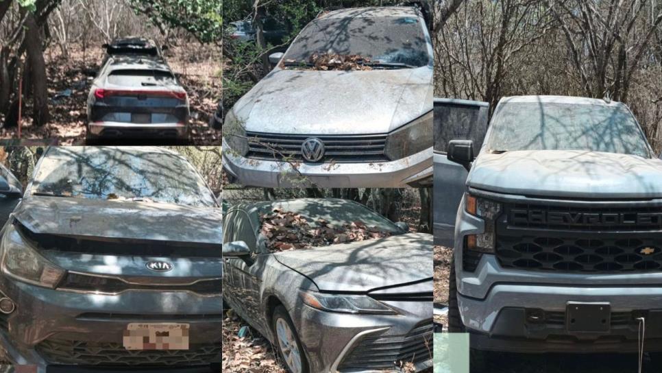 En El Quelite, Secretaría de Marina recupera 5 vehículos con reporte de robo En El Quelite, Secretaría de Marina recupera 5 vehículos con reporte de robo
