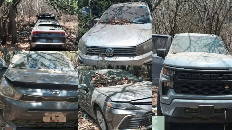 Con estas acciones, el Gobierno Federal y el Gobierno del Estado reafirman su compromiso de salvaguardar el patrimonio de la sociedad sinaloense