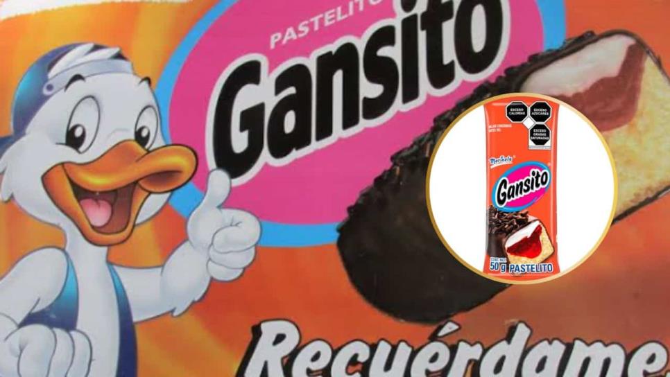 Cambia Gansito Marinela su tradicional forma; así será el delicioso y legendario pastelito Cambia Gansito Marinela su tradicional forma; así será el delicioso y legendario pastelito