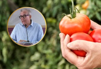 Rocha Moya: Arancel al tomate mexicano sigue en discusión