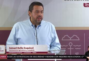 Acuerdo Maíz-Tortilla traerá ordenamiento agrícola en México: Ismael Bello Esquivel