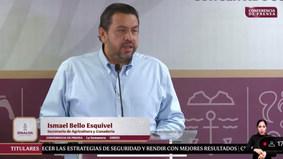 Mediante el Acuerdo Maíz-Tortilla, bajará el precio de este alimento en seis meses: Bello Esquivel Mediante el Acuerdo Maíz-Tortilla, bajará el precio de este alimento en seis meses: Bello Esquivel