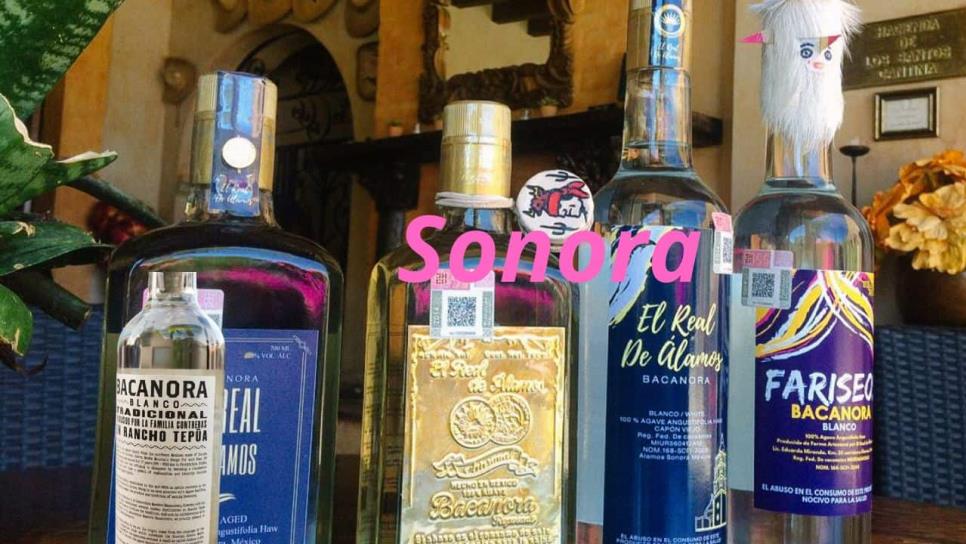 Bacanora: ¿Por qué es tan peculiar y famosa esta bebida? Bacanora: ¿Por qué es tan peculiar y famosa esta bebida?