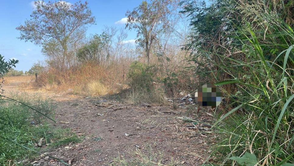 Era Lorena; identifican a mujer asesinada a balazos la tarde de este lunes en el fraccionamiento Granada en Culiacán Era Lorena; identifican a mujer asesinada a balazos la tarde de este lunes en el fraccionamiento Granada en Culiacán