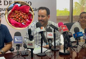 Secretaría de Economía invita a la Feria de la Ciruela en Concordia