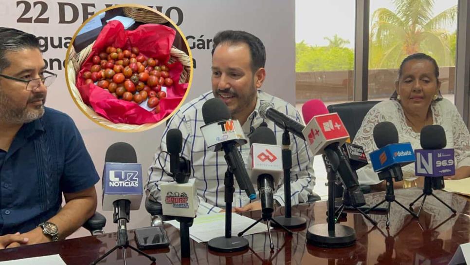 Secretaría de Economía invita a la Feria de la Ciruela en Concordia Secretaría de Economía invita a la Feria de la Ciruela en Concordia
