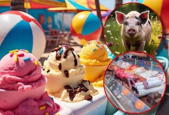 Carnicería vende helados de carne animal; estos son los exóticos sabores a la venta | VIDEO