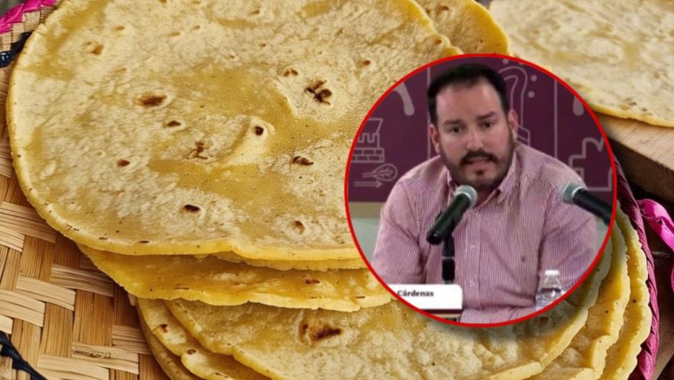 El acuerdo Maíz-Tortilla traerá beneficios a Sinaloa: Pity Velarde El acuerdo Maíz-Tortilla traerá beneficios a Sinaloa: Pity Velarde