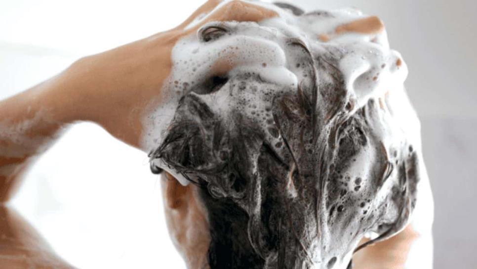 Espumoso, oloroso y cuida tu cabello, así es el mejor shampoo que recomienda Profeco Espumoso, oloroso y cuida tu cabello, así es el mejor shampoo que recomienda Profeco