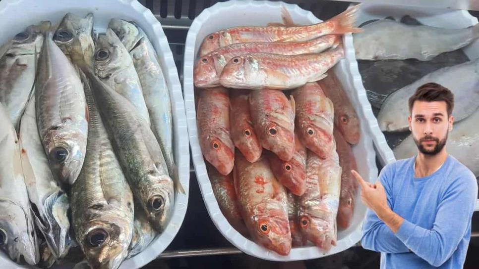 Coepriss suspende restaurantes de mariscos en Sinaloa tras detectar comida en mal estado Coepriss suspende restaurantes de mariscos en Sinaloa tras detectar comida en mal estado