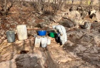 Aseguran dos áreas de concentración de químicos, un laboratorio inactivo y un plantío de mariguana en Culiacán