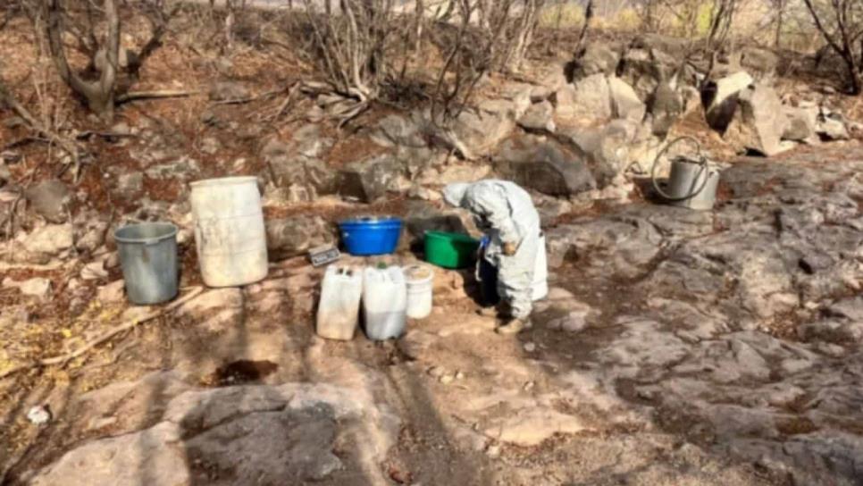 Aseguran dos áreas de concentración de químicos, un laboratorio inactivo y un plantío de mariguana en Culiacán Aseguran dos áreas de concentración de químicos, un laboratorio inactivo y un plantío de mariguana en Culiacán