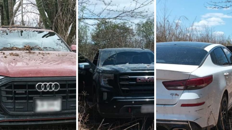 En San Ignacio, fueron incautados 4 vehículos, 2 de ellos tenían reporte de robo En San Ignacio, fueron incautados 4 vehículos, 2 de ellos tenían reporte de robo