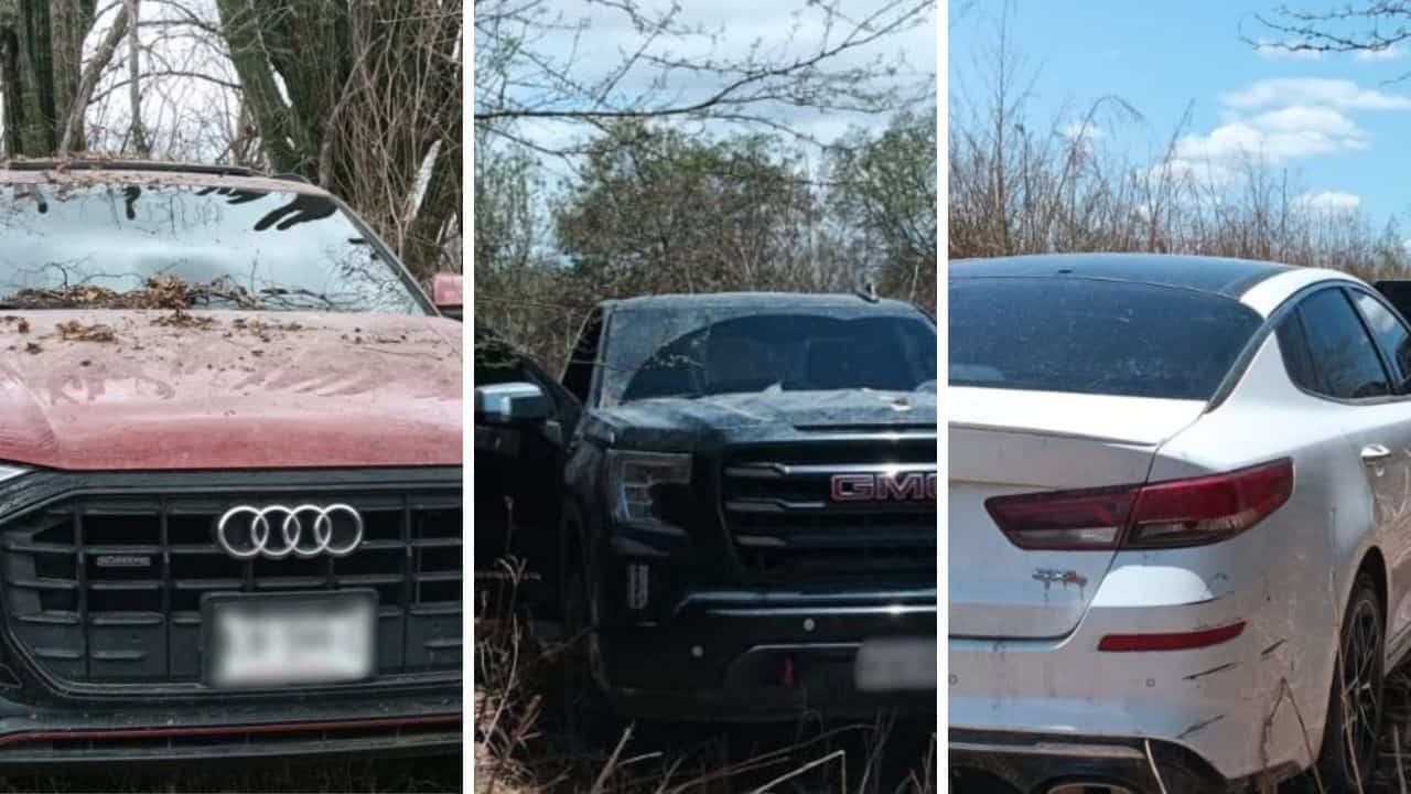 Con estas acciones, el Gobierno Federal y el Gobierno del Estado reafirman su compromiso de salvaguardar la seguridad de la sociedad sinaloense, y se invita a marcar oportunamente al 911 para cualquier emergencia y al 089 para realizar denuncias anónimas