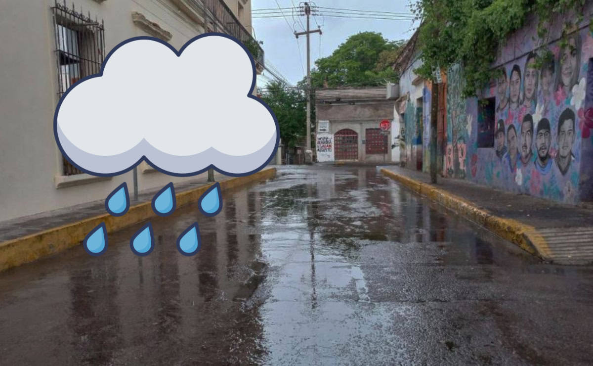 Imagen Placeholder Imagen Placeholder