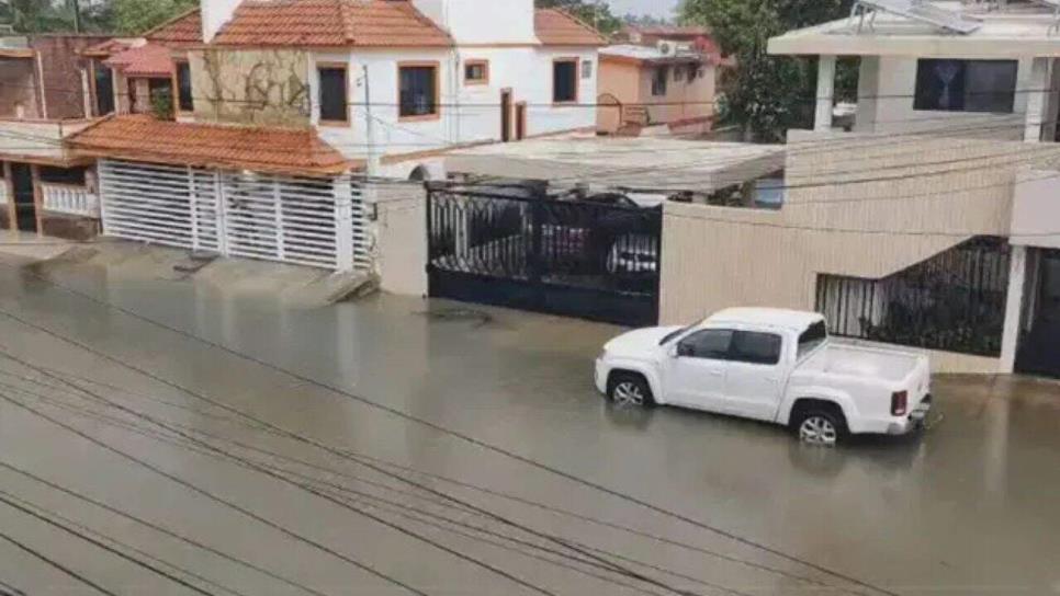 Cocodrilo de dos metros nada por las calles de Ciudad Madero tras inundaciones | VIDEO Cocodrilo de dos metros nada por las calles de Ciudad Madero tras inundaciones | VIDEO