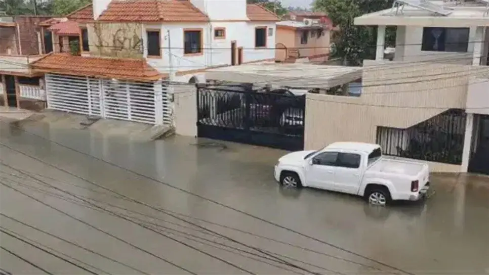 Hasta el momento, no se ha registrado ningún incidente o ataque, pero el patrullaje continúa, en especial en zonas donde las inundaciones persisten y podrían facilitar la presencia de otros ejemplares