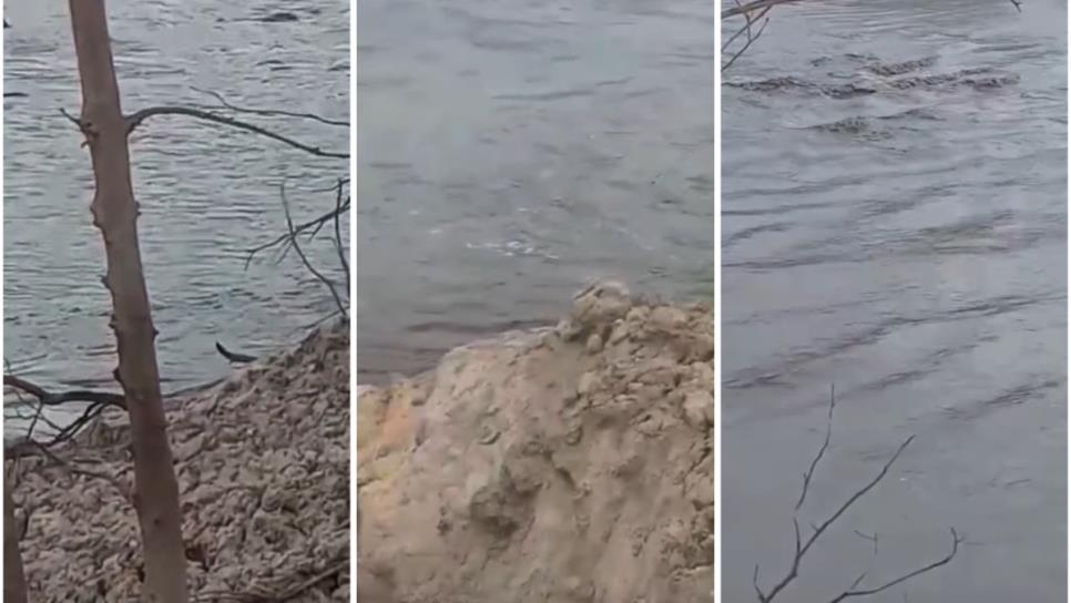El río Fuerte recupera su caudal tras recientes lluvias en la sierra norte de Sinaloa | VIDEO El río Fuerte recupera su caudal tras recientes lluvias en la sierra norte de Sinaloa | VIDEO