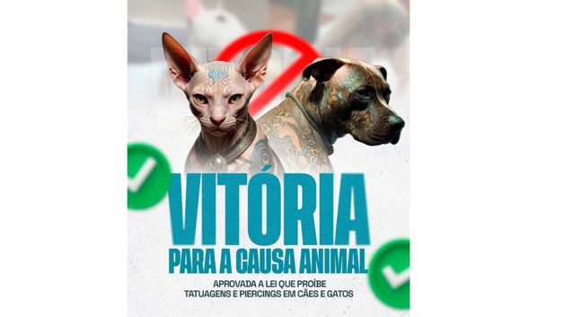 Imagen Placeholder
