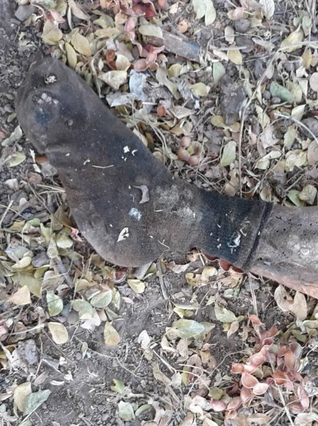 Imagen Placeholder Imagen Placeholder