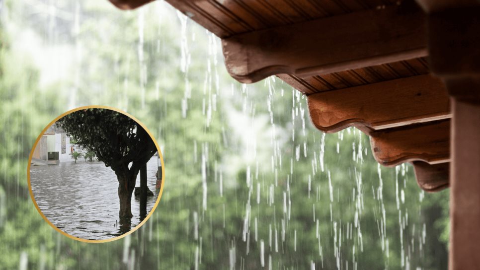 Protección Civil pronostica lluvias muy fuertes en Choix, Badiraguato, Sinaloa y San Ignacio este fin de semana Protección Civil pronostica lluvias muy fuertes en Choix, Badiraguato, Sinaloa y San Ignacio este fin de semana