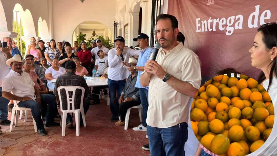 "No tenía ni pa´ las tortillas": Productores de ciruela de Concordia reciben apoyos económicos "No tenía ni pa´ las tortillas": Productores de ciruela de Concordia reciben apoyos económicos