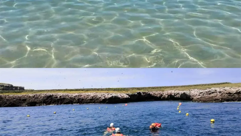 Estas vacaciones de verano llega a Mazatlán y visita esta isla que seguro te encantará.