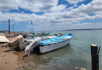 Aumenta la pesca furtiva en Sinaloa; decomisan trampas, redes y hasta una panga