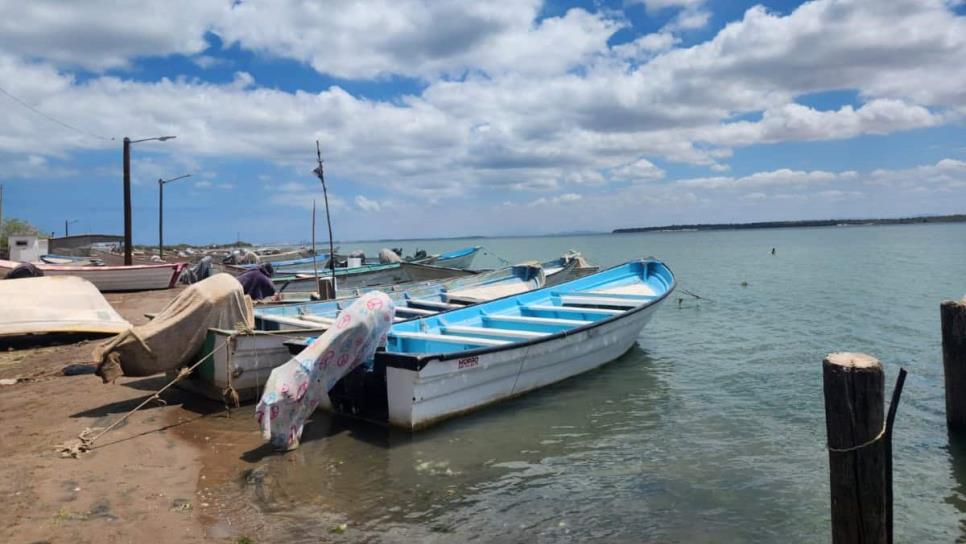 Aumenta la pesca furtiva en Sinaloa; decomisan trampas, redes y hasta una panga Aumenta la pesca furtiva en Sinaloa; decomisan trampas, redes y hasta una panga
