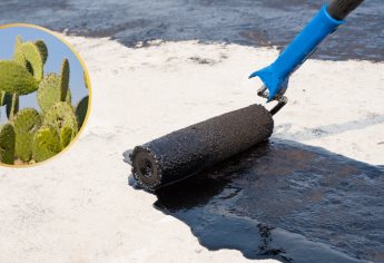 Impermeabilizante casero de la época prehispánica que aún funciona si lo aplicas