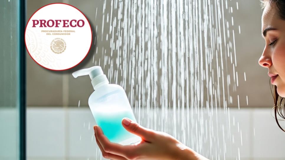 Estos shampoos recomendados por Profeco son ideales para evitar la caída del cabello Estos shampoos recomendados por Profeco son ideales para evitar la caída del cabello