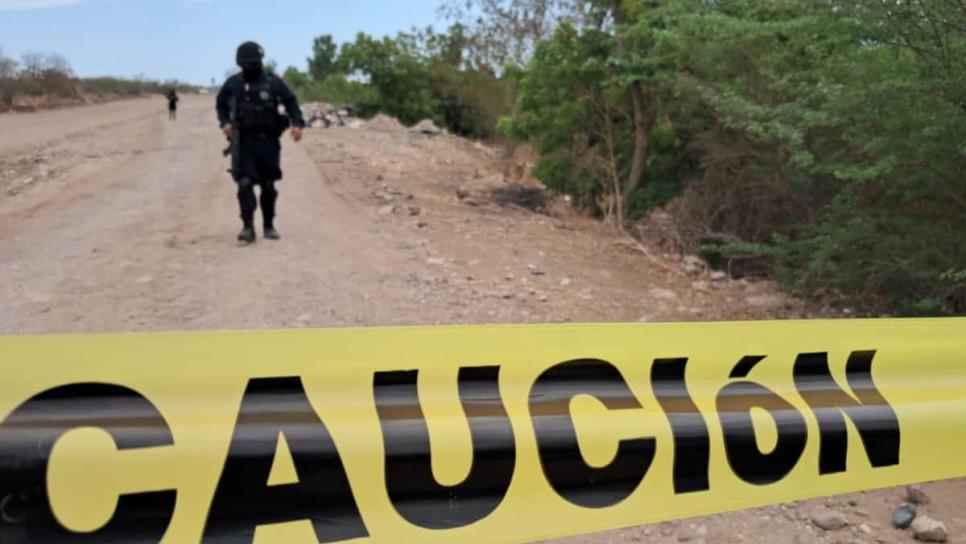 Localizan a un hombre asesinado atrás de TecMilenio, en Culiacán Localizan a un hombre asesinado atrás de TecMilenio, en Culiacán
