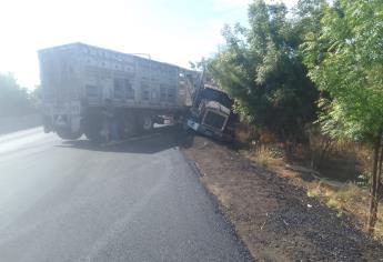 Torton casi termina volcado en la México 15 al salirse de la carretera en Guasave