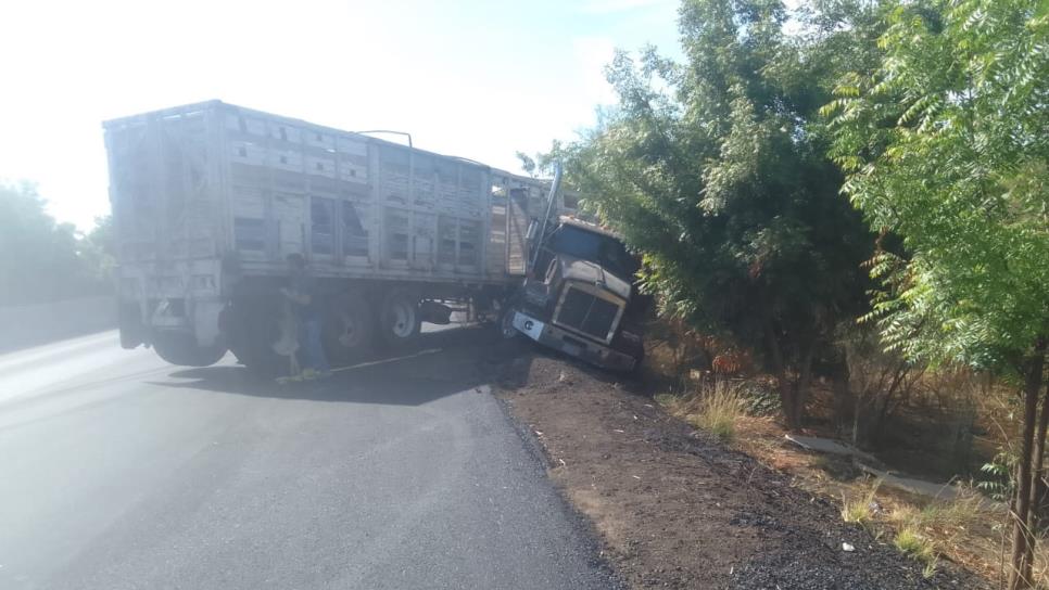 Torton casi termina volcado en la México 15 al salirse de la carretera en Guasave Torton casi termina volcado en la México 15 al salirse de la carretera en Guasave