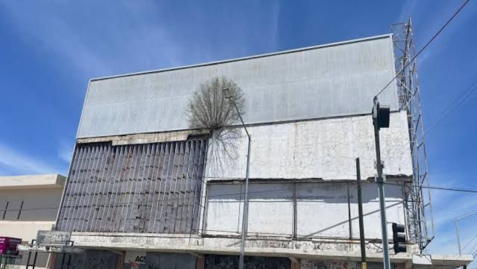 PC Ahome retirará árbol en instalaciones del antiguo edificio de "La Violeta" PC Ahome retirará árbol en instalaciones del antiguo edificio de "La Violeta"