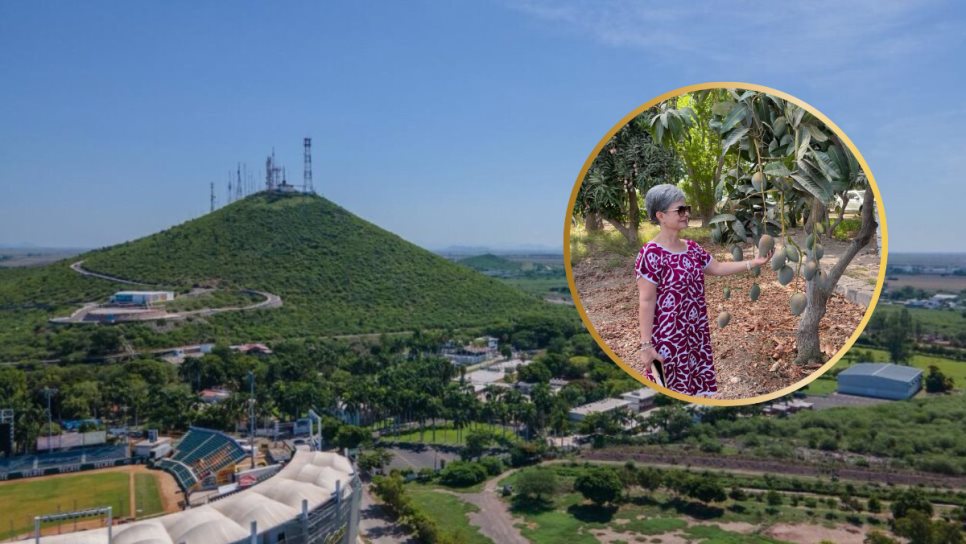 "Valle del Fuerte" denominación de origen sinónimo de calidad y sabor: CER "Valle del Fuerte" denominación de origen sinónimo de calidad y sabor: CER