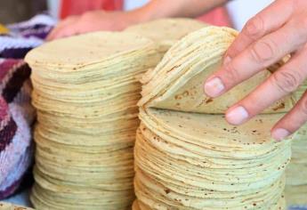 ¡Increíble pero cierto! La tortilla, el alimento más consumido por mexicanos, no está en la canasta básica