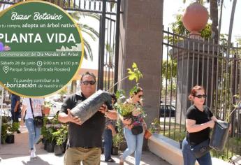 Parque Sinaloa regala árboles nativos por el Día Mundial del Árbol: así puedes conseguir el tuyo