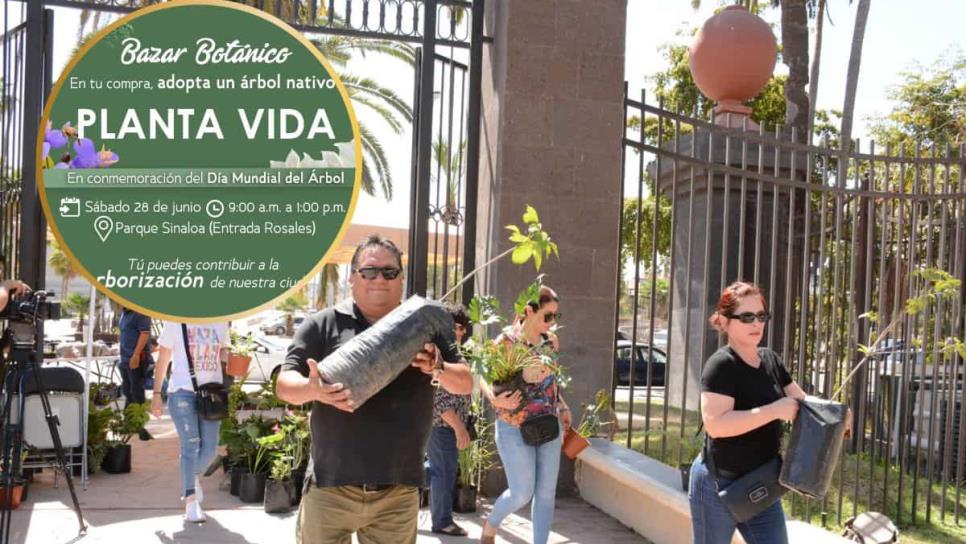 Parque Sinaloa regala árboles nativos por el Día Mundial del Árbol: así puedes conseguir el tuyo Parque Sinaloa regala árboles nativos por el Día Mundial del Árbol: así puedes conseguir el tuyo