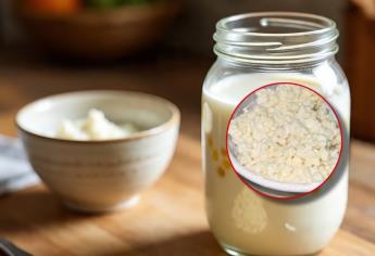 ¿Qué beneficios tienen los búlgaros de leche y por qué son tendencia en redes?