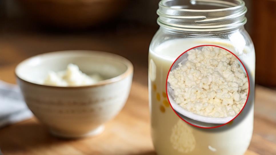 ¿Qué beneficios tienen los búlgaros de leche y por qué son tendencia en redes? ¿Qué beneficios tienen los búlgaros de leche y por qué son tendencia en redes?