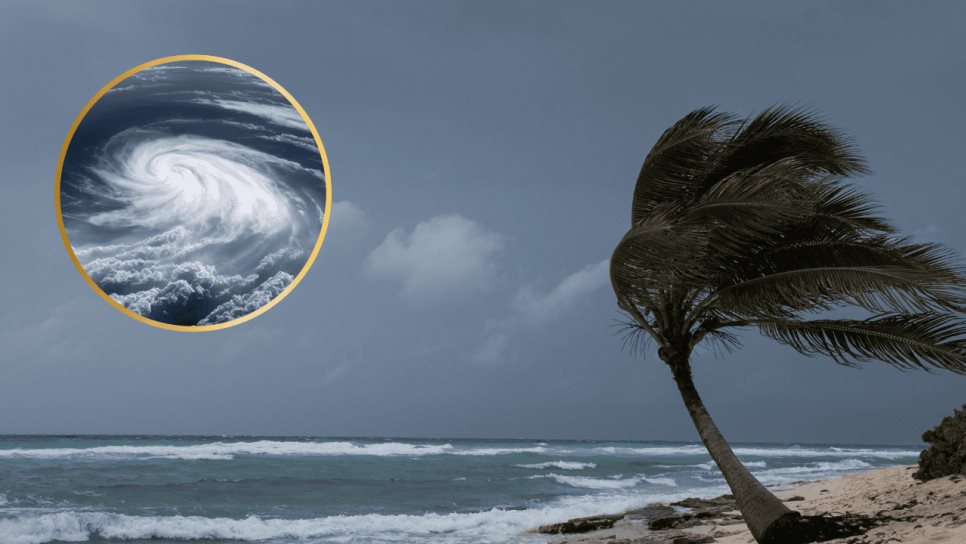 Nuevo ciclón Flossie en el Pacífico: ¿Se formará este fin de semana? Así los pronósticos Nuevo ciclón Flossie en el Pacífico: ¿Se formará este fin de semana? Así los pronósticos