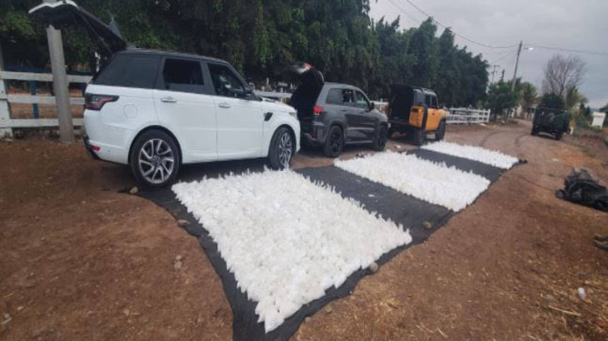 Parte de lo asegurado. (FOTO: Cortesía).