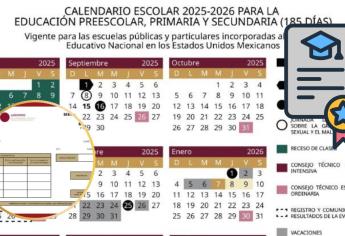 SEP: Cómo descargar las boletas del ciclo 2024-2025 grado por grado, aquí te decimos